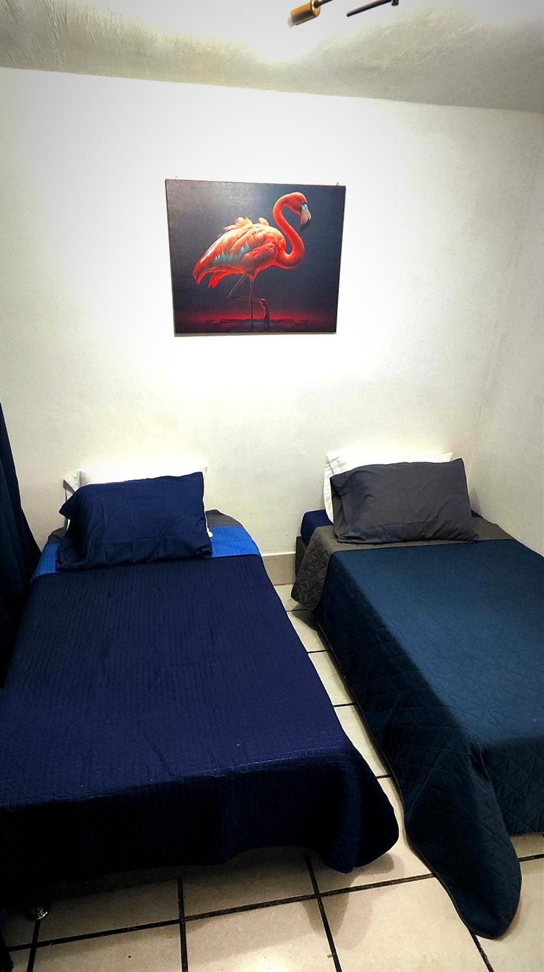 Casa Camila Zapopan Villa Guadalajara Eksteriør billede